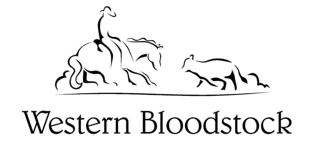 Western Bloodstock Logo