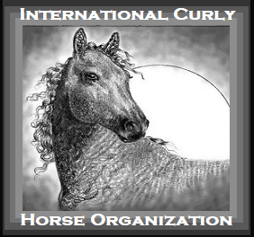 International Curly Horse Organization