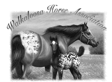 Walkaloosa Horse Association